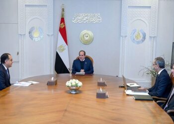الرئيس السيسي يوجه بالاستمرار في العمل نحو التحول إلى مجتمع رقمي متكامل