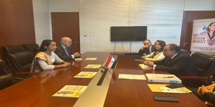 بالصور.. وزير الخارجية والهجرة يلتقى وزيرة خارجية مدغشقر