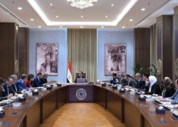 رئيس الوزراء يتابع جهود الحد من عمليات التهريب وإغراق الأسواق المصرية