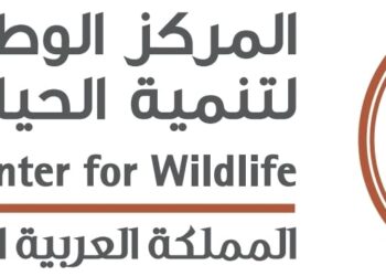 الحياة الفطرية” تؤكد: جراء الذئاب الرهيبة المعلن عن ولادتها مجرد ذئاب رمادية معدلة وراثيًا