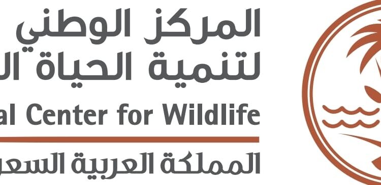 الحياة الفطرية” تؤكد: جراء الذئاب الرهيبة المعلن عن ولادتها مجرد ذئاب رمادية معدلة وراثيًا