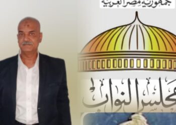 وجدى وزيرى يكتب التغيير ضرورة: لماذا يجب أن يفسح النواب الحاليون الطريق لوجوه جديدة؟