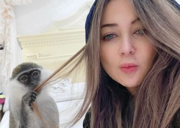 نرمين نبيل تكتب حكايتها مع المعضوضين والمصل في المستشفي الحكومى