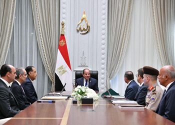 الرئيس السيسى يؤكد أهمية إطلاق مبادرات وإنشاء مراكز متخصصة لإعداد كوادر مؤهلة