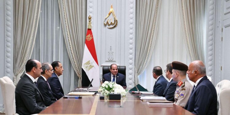 الرئيس السيسى يؤكد أهمية إطلاق مبادرات وإنشاء مراكز متخصصة لإعداد كوادر مؤهلة