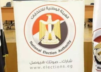 غدا.. الوطنية للانتخابات تعقد مؤتمرا صحفيا لمتابعة تصويت المصريين بالخارج