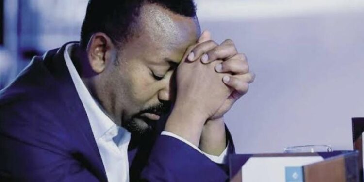 أبلغ رد على رئيس وزراء اثيوبيا من فاطمه الاقصرية