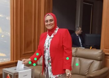 11 لجنة انتخابية فى القارة الإفريقية تفتح أبوابها لاستقبال الناخبين المصريين