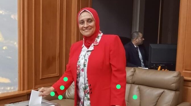 11 لجنة انتخابية فى القارة الإفريقية تفتح أبوابها لاستقبال الناخبين المصريين