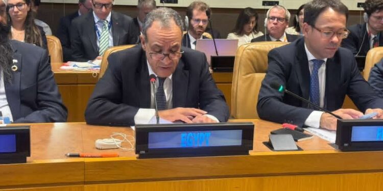 وزير الخارجية يشارك في اجتماع لجنة التواصل بشأن فلسطين AHLC