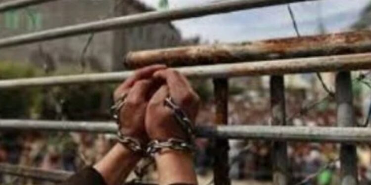 الصحة الفلسطينية تتسلم 15 جثمانا لشهداء أفرج الاحتلال الإسرائيلى عنهم