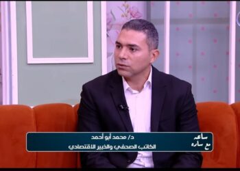 الدكتور محمد أبو أحمد : الاقتصاد المصري متنوع وقادر على جذب المزيد من الاستثمارات الأجنبية والمحلية