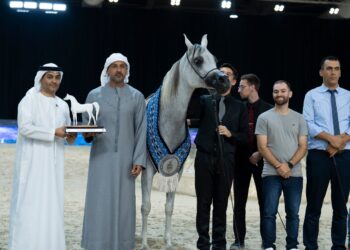 مربط دبي يتألق بذهبيتين وفضيةفي بطولة الإمارات الوطنية لجمال الخيول العربية