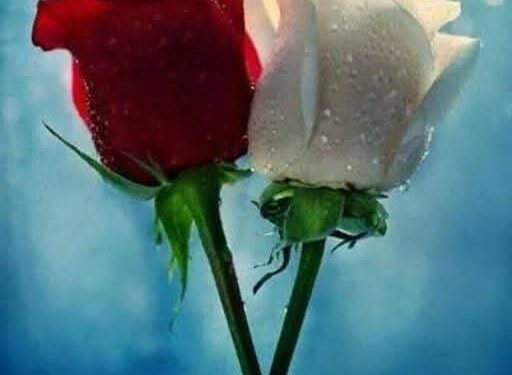 قرأنا لك عن أشباه الرجال وأشباه النساء