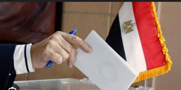 فاتن عبدالمعبود تقرأ لكم المشهد الانتخابي وتحذر من كارثة المال السياسي على الإرادة الشعبية