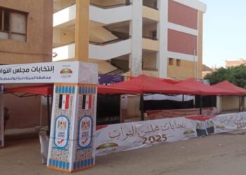 بالصور.. استعدادات محافظه الجيزة للانتخابات