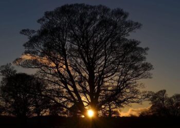 لماذا يظل وقت الفجر متأخراً بعد الإنقلاب الشتوي؟