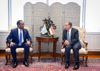 مشاورات مصرية – صومالية لدعم الشراكة الاستراتجية بين البلدين