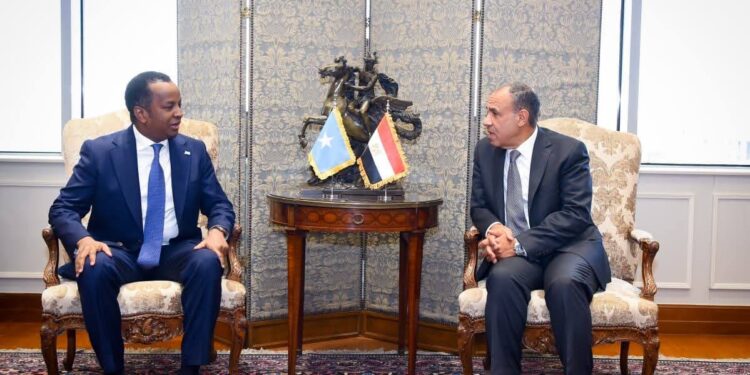 مشاورات مصرية – صومالية لدعم الشراكة الاستراتجية بين البلدين