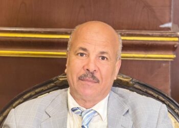 _دور المصريين في الخارج_محمد خفاجي – عضو الاتحاد العام للمصريين في الخارج