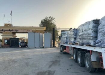 مصر تمد غزة بـ4910 أطنان من المساعدات الإنسانية وتستقبل الدفعة 31 من المصابين