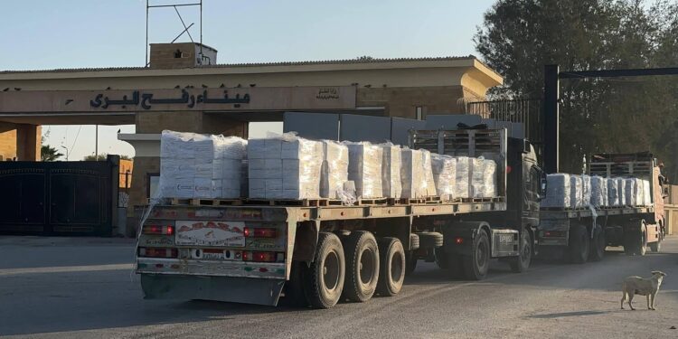 الهلال الأحمر المصري يدفع بأكثر من 5,060 طنًا من المساعدات الإنسانية الشاملة إلى الأشقاء الفلسطينيين عبر قافلة «زاد العزة» الـ 175