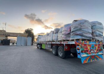 مصر تمد غزة بـ 104 ألف سلة غذائية ضمن قافلة «زاد العزة» الـ 185