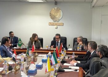 مصر تؤكد دورها الإنساني تجاه فلسطين وتدعو لتكاتف عربي في مواجهة التحديات الصحية