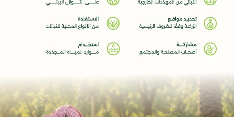 البرنامج الوطني للتشجير: ستة مبادئ رئيسية لاستدامة عمليات التشجير وتغيير النظام البيئي في المملكة