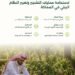 البرنامج الوطني للتشجير: ستة مبادئ رئيسية لاستدامة عمليات التشجير وتغيير النظام البيئي في المملكة