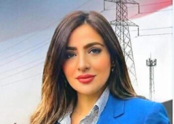 رئيسة شعبة التعدين والبترول والفلزات تشيد بجهود وزارة البترول في احتواء حادث سفن الغاز بدمياط