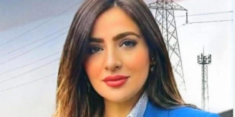 رئيسة شعبة التعدين والبترول والفلزات تشيد بجهود وزارة البترول في احتواء حادث سفن الغاز بدمياط