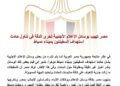 مصر تهيب بوسائل الإعلام الأجنبية تحري الدقة في تناول حادث استهداف السفينتين بميناء دمياط