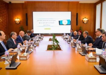 وزير الخارجية يبحث مع وزير النقل مشروعات التنمية في قطاع النقل