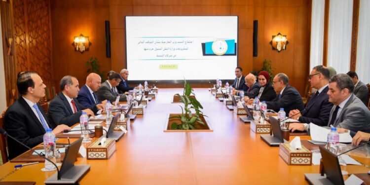 وزير الخارجية يبحث مع وزير النقل مشروعات التنمية في قطاع النقل