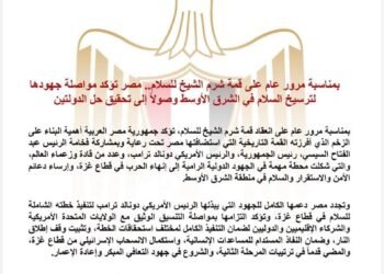 بمناسبة مرور عام على قمة شرم الشيخ للسلام.. مصر تؤكد مواصلة جهودها لترسيخ السلام في الشرق الأوسط وصولاً إلى تحقيق حل الدولتين