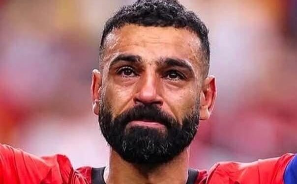 بانوراما الرياضة